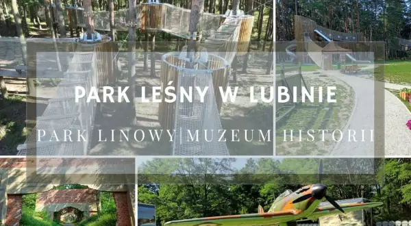 Park linowy i Muzeum Historii w Lubinie to świetne atrakcje dla całej rodziny.