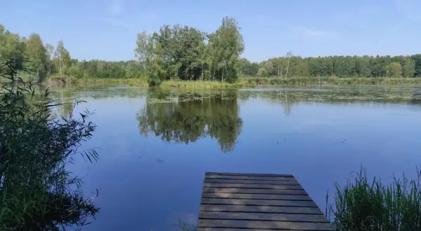 Drewniany pomost nad spokojnym jeziorem Paprocany. Woda odbija drzewa i błękitne niebo.