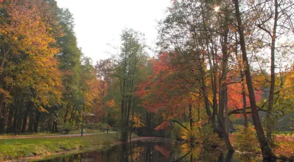 Jesienny park w Wejherowie nad spokojną wodą, drzewa w barwach złota i czerwieni.