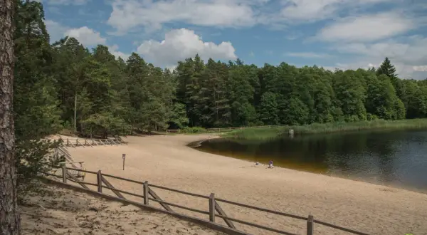 Piaszczysta plaża nad jeziorem w Roztoczańskim Parku Narodowym, otoczona lasem.