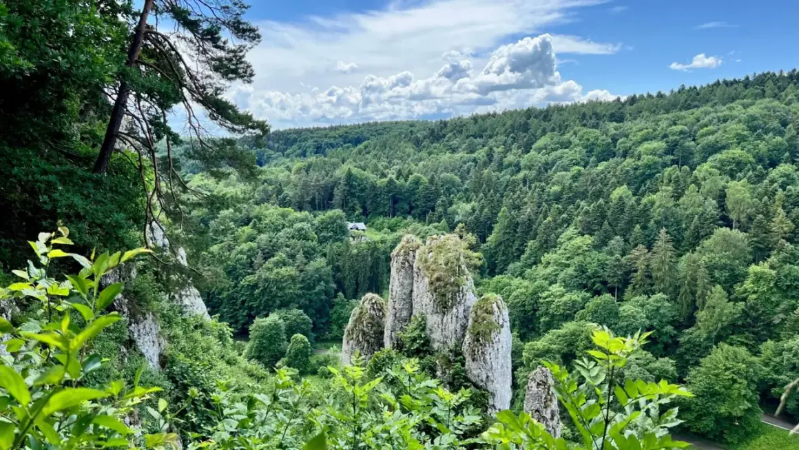 Skaliste formacje i bujna zieleń w jednym z parków narodowych w Polsce. W oddali widać dom wśród drzew.