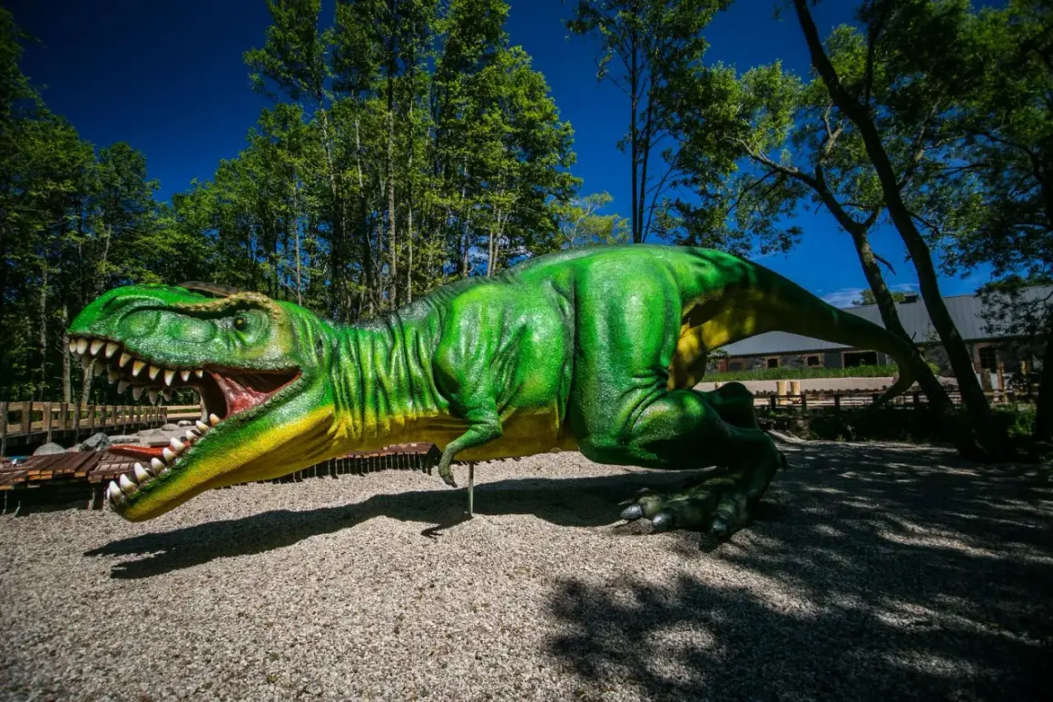 Potężny T-Rex w parku ewolucji w Sławutówku, gotowy do ataku.