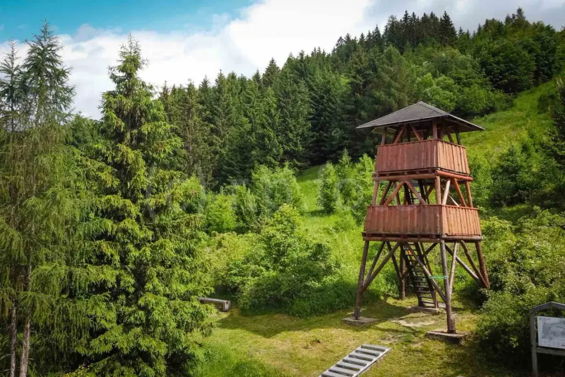 Drewniana wieża widokowa Słowacja, otoczona bujną zielenią lasu i wzgórz. Idealne miejsce na podziwianie panoramy.