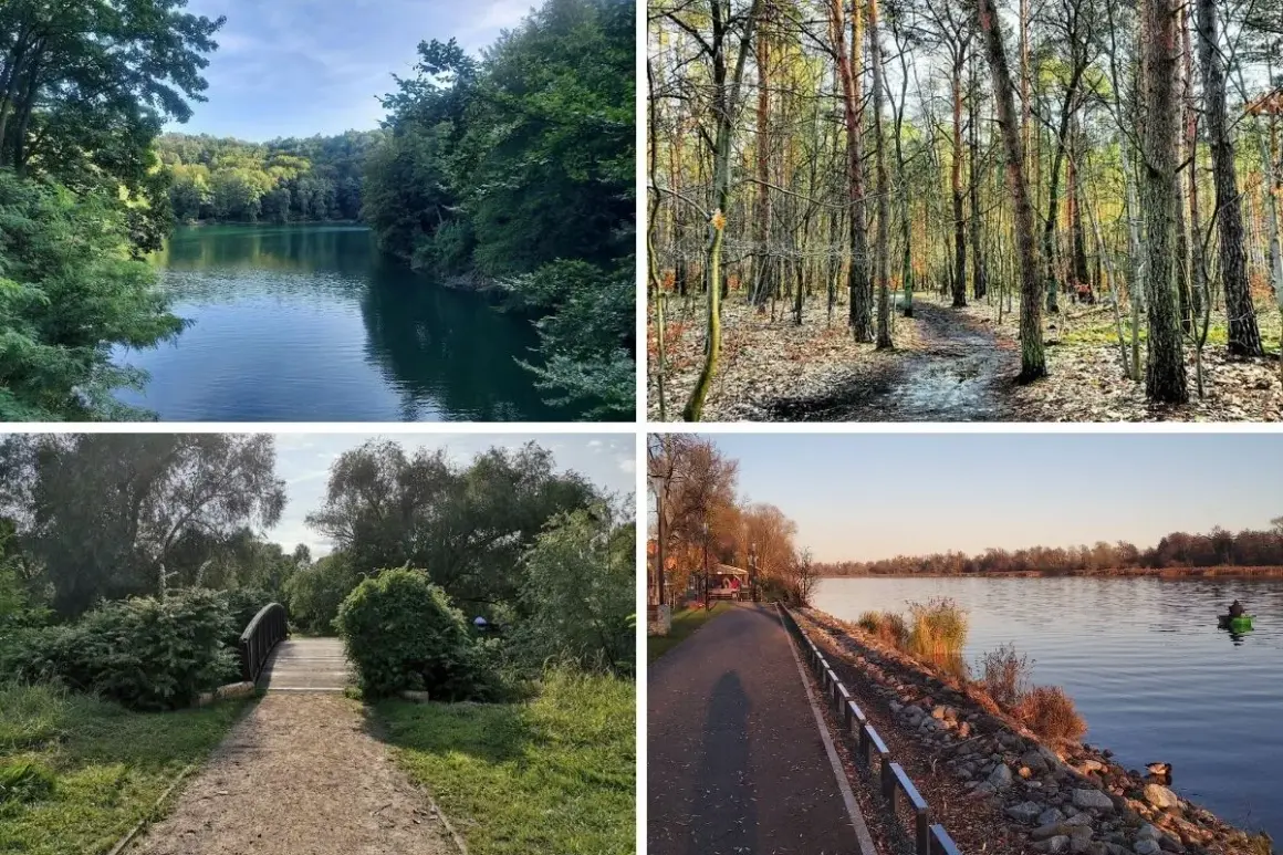 Malownicze krajobrazy: spokojna woda otoczona lasem, ścieżka w jesiennym lesie, mostek w zielonym parku, nadbrzeżna promenada. Jakby z Doliny Siedmiu Młynów.