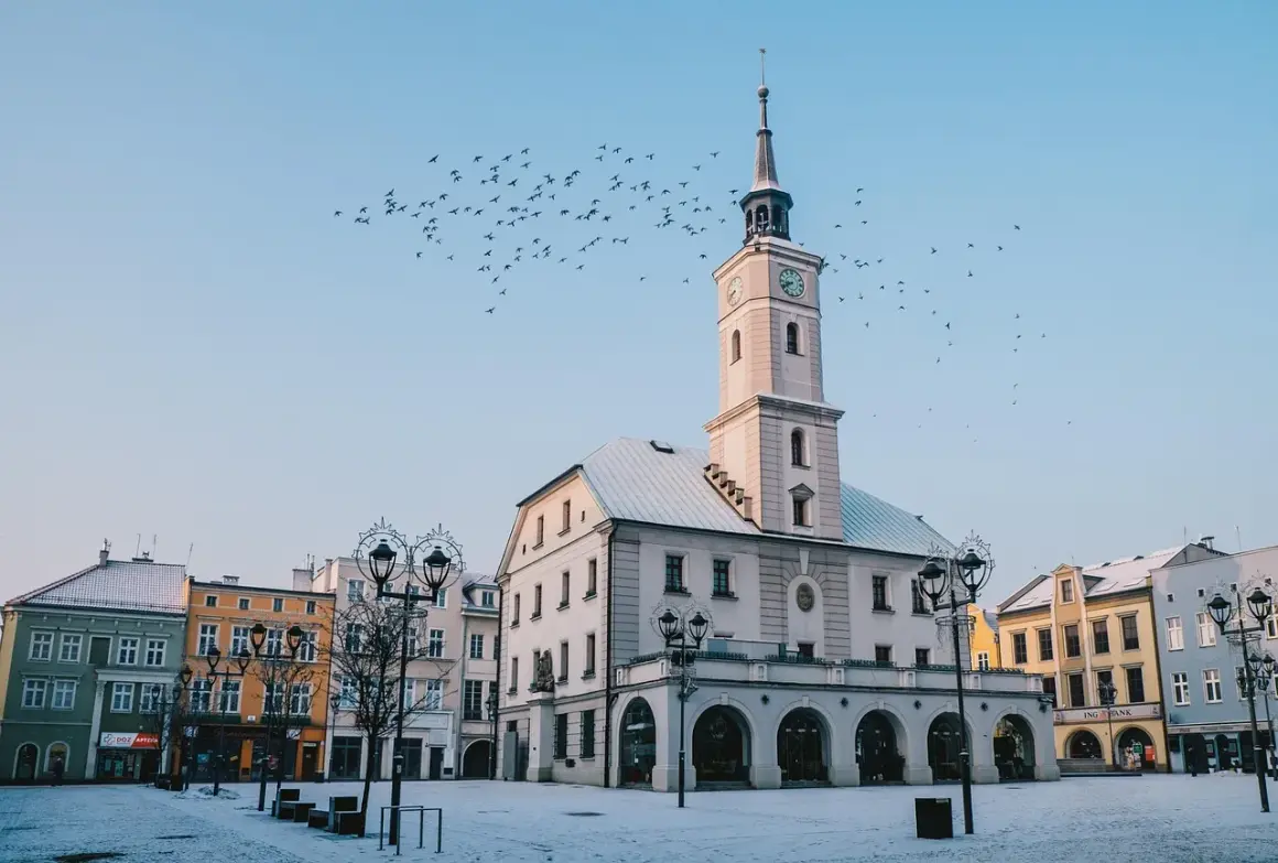 Ratusz w Gliwicach zimową porą, z ptakami na niebie. Wspaniałe gliwice atrakcje, które warto zobaczyć.