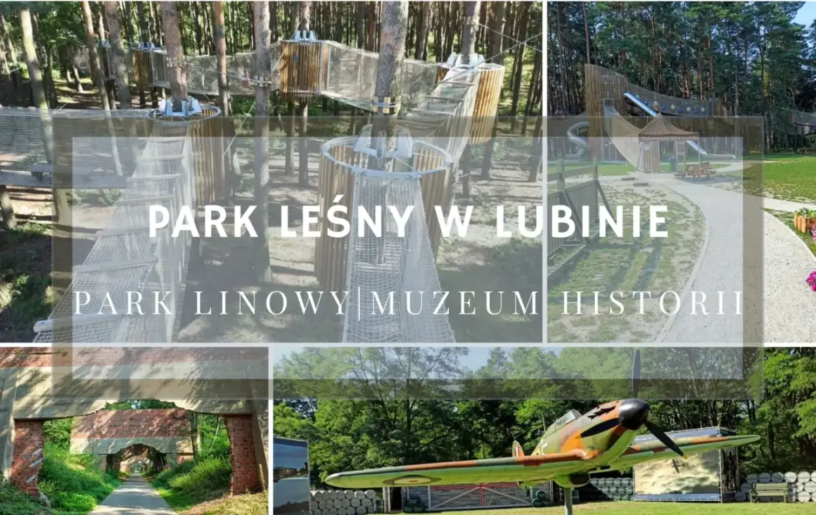Park linowy i Muzeum Historii w Lubinie to świetne atrakcje dla całej rodziny.
