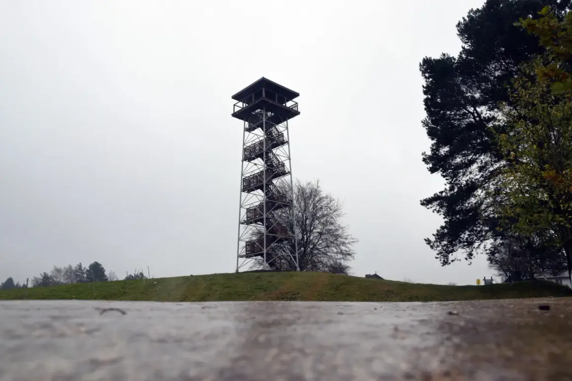 Wieża widokowa na górze lemana, z której roztacza się widok na jesienny krajobraz.