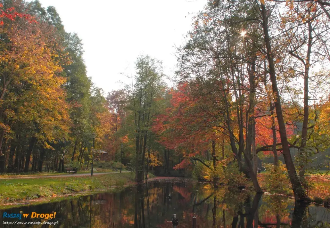 Jesienny park w Wejherowie nad spokojną wodą, drzewa w barwach złota i czerwieni.