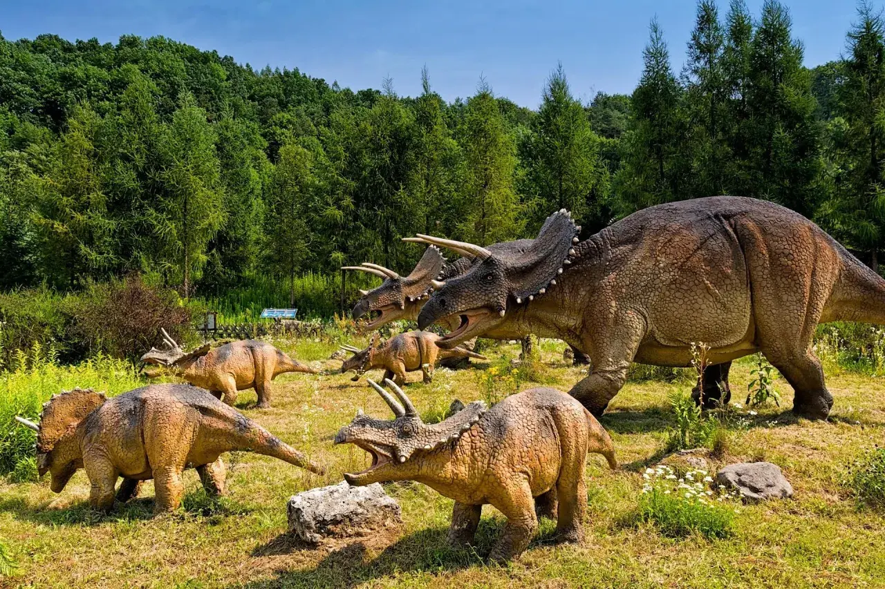 Stado triceratopsów przemierza łąkę w parku rozrywki Jurassic World.