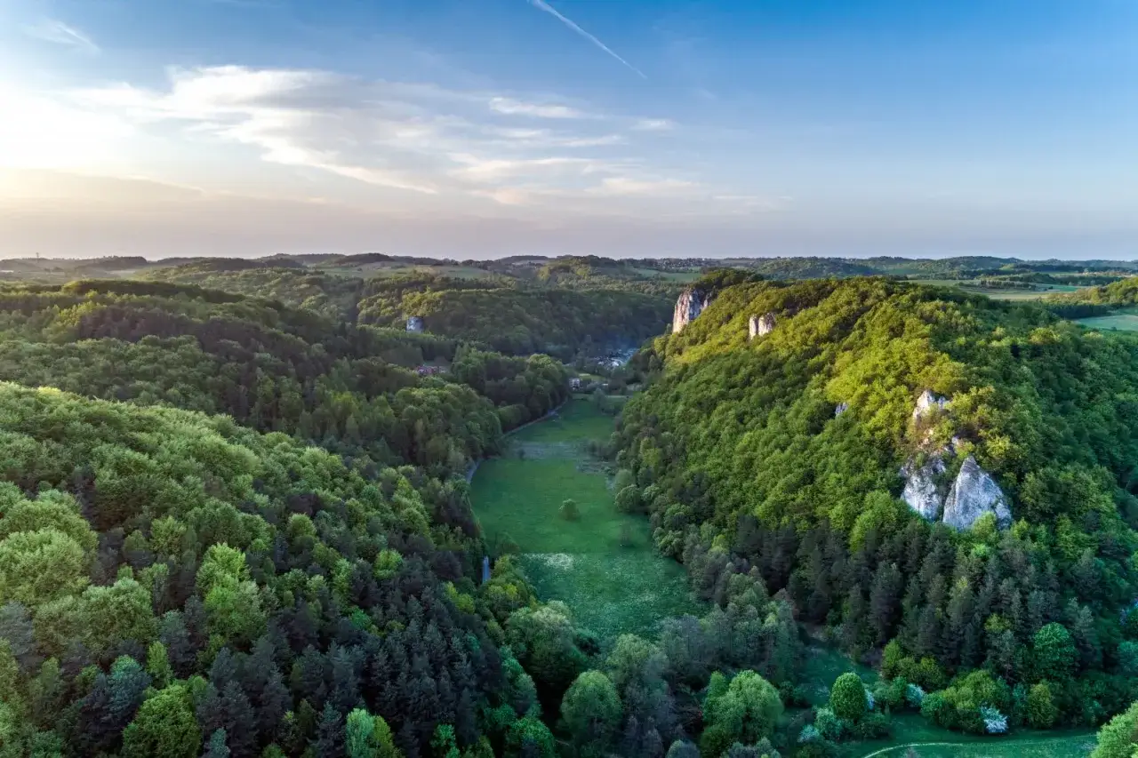 Malownicza dolina będkowska z bujnymi lasami i wapiennymi skałami oświetlonymi słońcem.