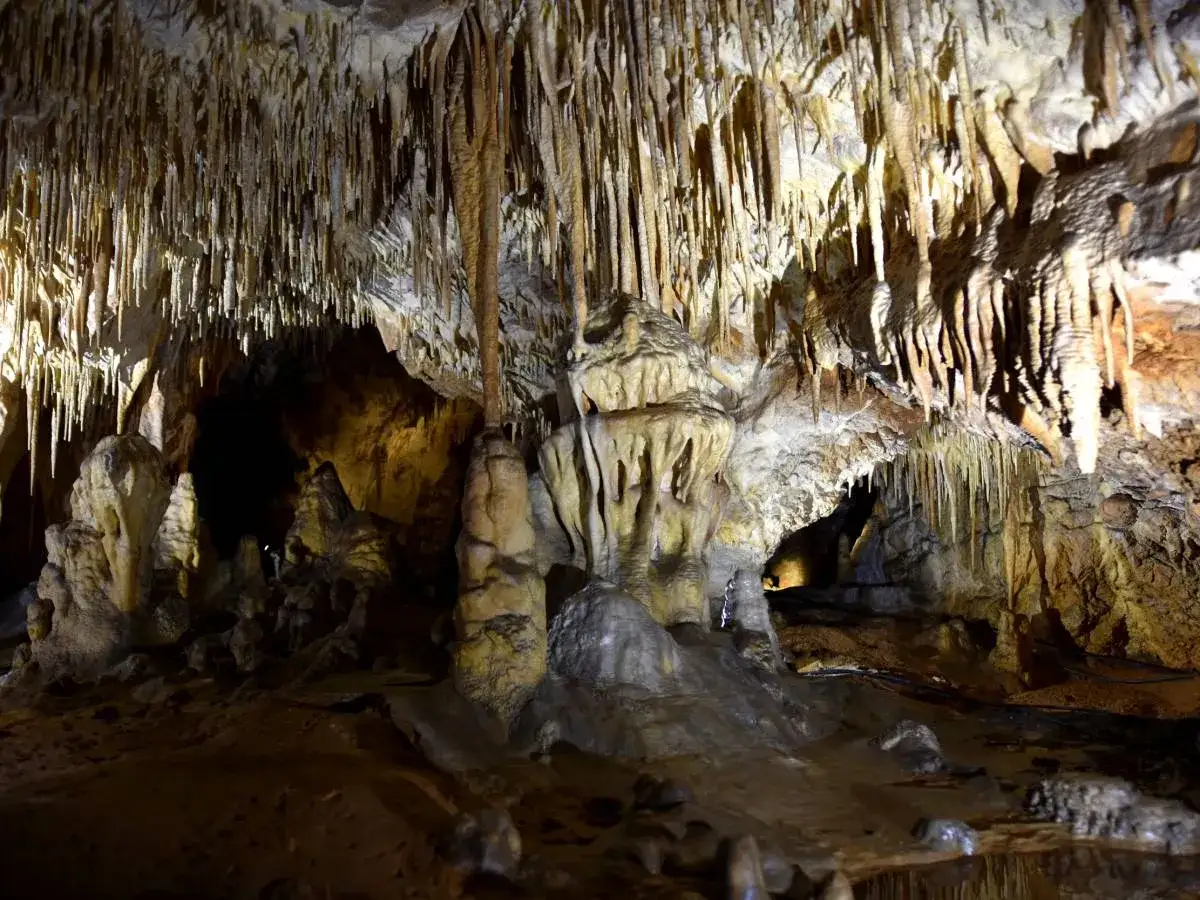 Niesamowite formacje skalne w jaskini, jedne z wielu Chęciny atrakcje. Stalaktyty i stalagmity tworzą bajkowy krajobraz.