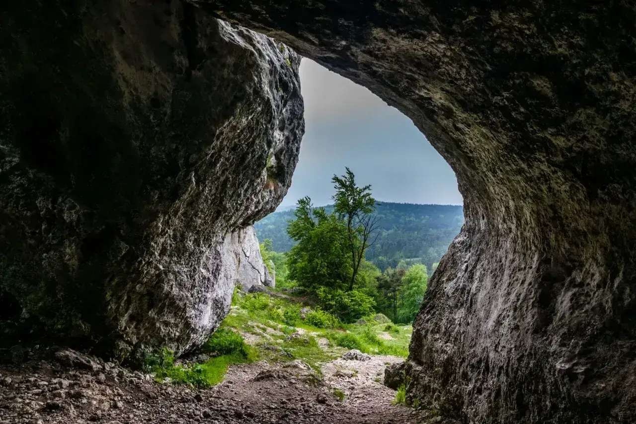 Widok z jaskini na zielony las i wzgórza. Skały rzędkowickie tworzą naturalną ramę dla krajobrazu.