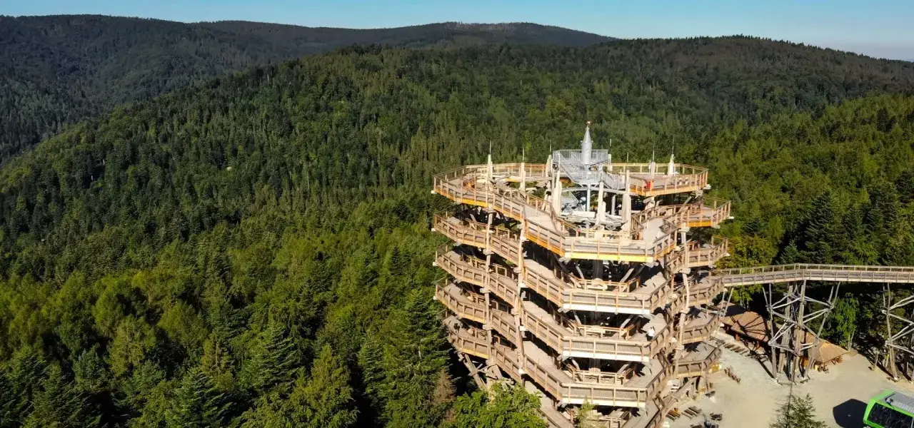 Drewniana wieża widokowa w Krynicy-Zdroju, otoczona gęstym lasem. Punkt widokowy krynica zdrój oferuje wspaniałe panoramy.