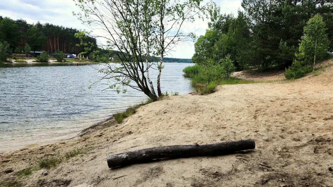 Piaskowa plaża nad jeziorem, z drzewami i lasem w tle. Na piasku leży kłoda. Idealne miejsce na wypoczynek nad wodą.