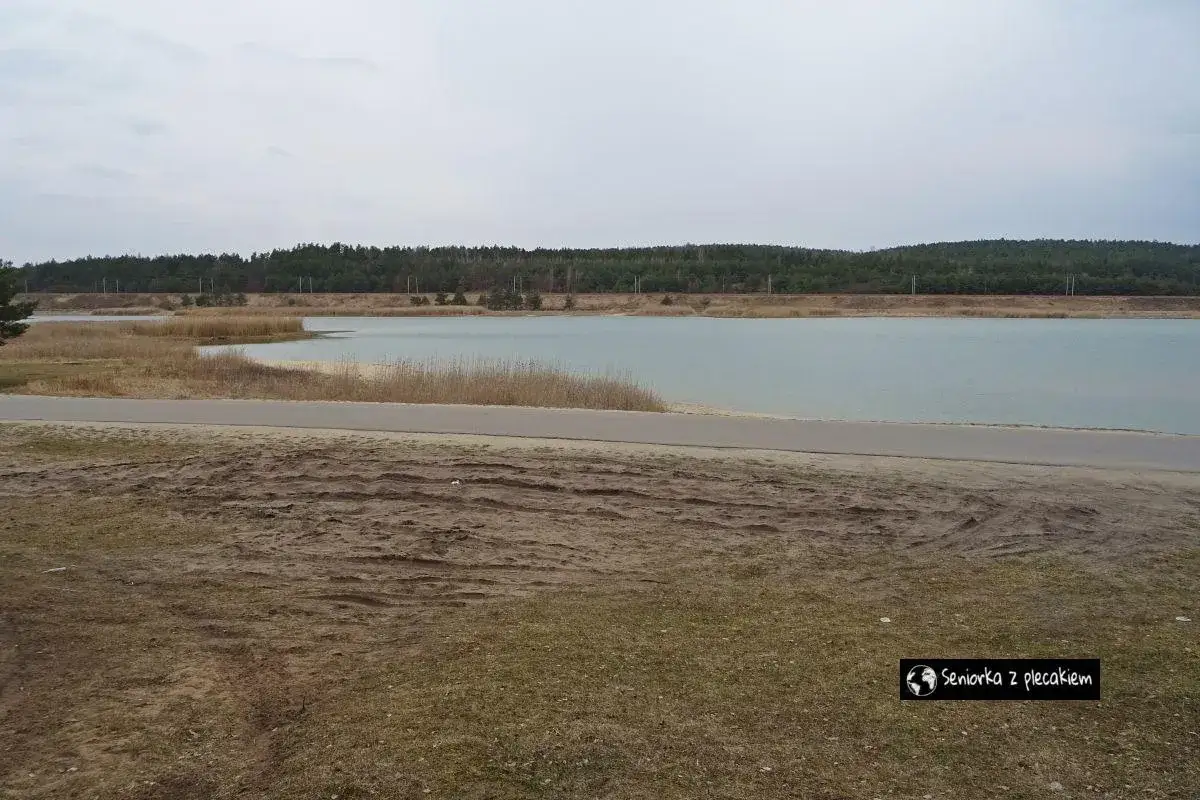Spokojny zalew Dźibice otoczony lasem, z piaszczystym brzegiem i drogą.