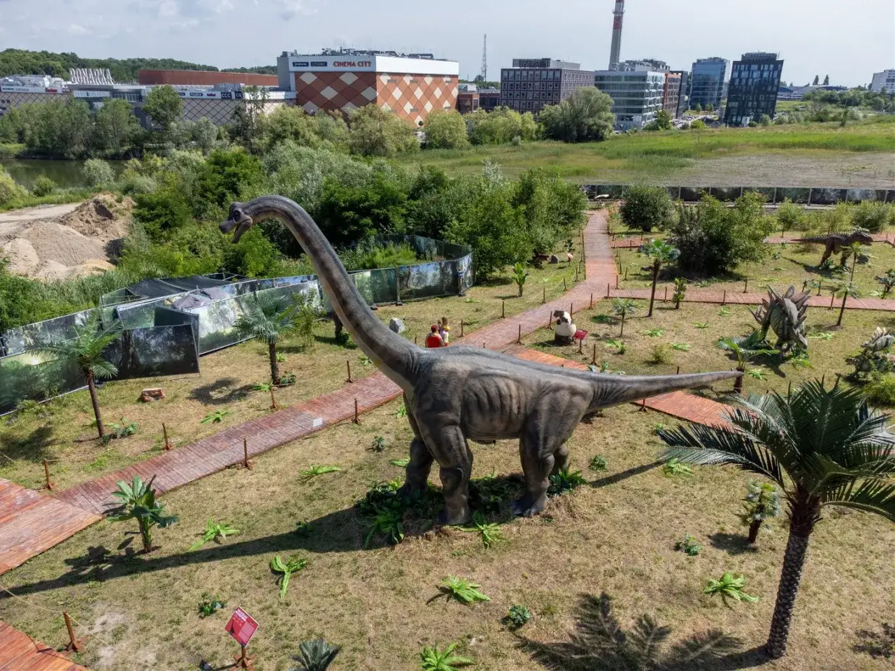 Witaj w parku dinozaurów w Krakowie! Gigantyczny diplodok wita zwiedzających wśród palm i innych prehistorycznych gadów.