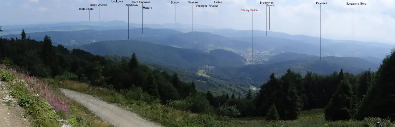 Widok na Beskid Sądecki z górującymi szczytami jak Lackowa i Palenica. Atrakcje turystyczne regionu w zasięgu wzroku.