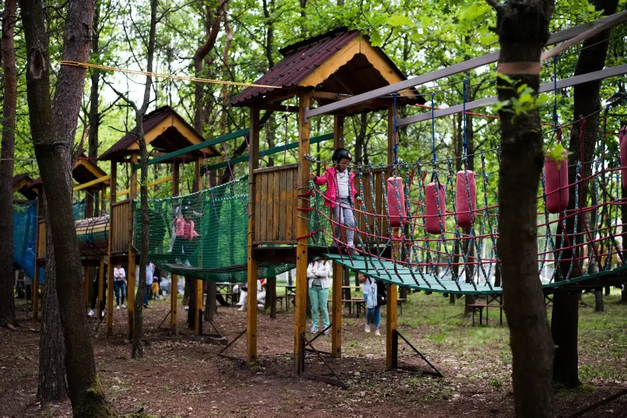 Dzieci bawią się na linowym torze przeszkód w brzezówka park. Drewniane platformy i zielone siatki tworzą ekscytującą ścieżkę wśród drzew.
