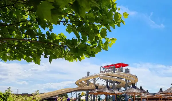 Zieleń drzew nad strefą wodną Energylandia. Kręte zjeżdżalnie i słomiane parasole zapraszają do zabawy.