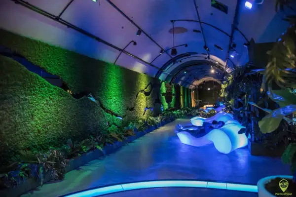W Muzeum Wody Wrocław, w tunelu z zielonym mchem i roślinnością, odpoczywa człowiek na podświetlanej, futurystycznej leżance.