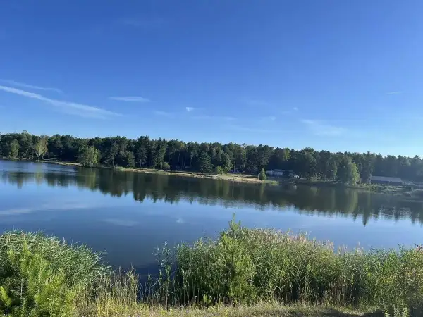 Spokojne, błękitne jezioro Chechło odbija gęsty las i błękitne niebo. Na brzegu szumią trawy.