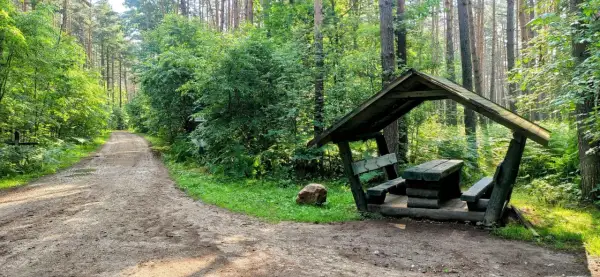 Leśna droga prowadzi do drewnianej altany z ławami i stołem, idealne miejsce na odpoczynek. To jedna z wielu **rybnik atrakcje** dla miłośników natury.