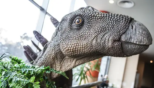 Głowa dinozaura w parku dinozaurów Zakopane, otoczona zielonymi paprociami.