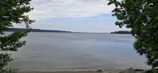 Spokojne jezioro Żarnowieckie, otoczone zielenią, zaprasza do odpoczynku. Idealne miejsce na relaks i podziwianie natury.