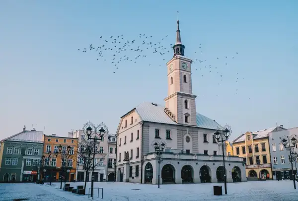 Ratusz w Gliwicach zimową porą, z ptakami na niebie. Wspaniałe gliwice atrakcje, które warto zobaczyć.