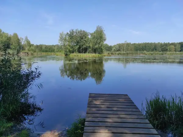 Drewniany pomost nad spokojnym jeziorem Paprocany. Woda odbija drzewa i błękitne niebo.