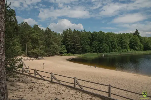 Piaszczysta plaża nad jeziorem w Roztoczańskim Parku Narodowym, otoczona lasem.